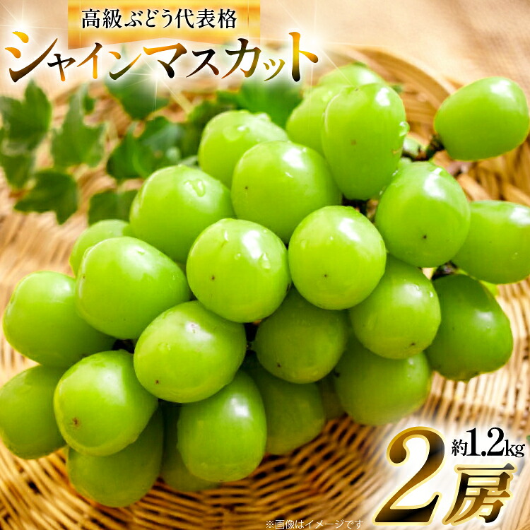【ふるさと納税】 【期間限定発送】 シャインマスカット 2房 約1.2kg [治右衛門果樹園 山形県 高畠町 tk06ays830004] 箱詰め フルーツ 果物 くだもの ぶどう ブドウ 葡萄 1.2キロ 甘い
