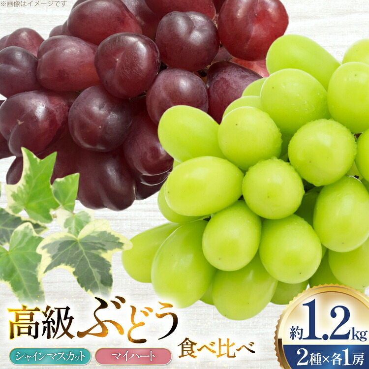 【ふるさと納税】 【期間限定発送】 ぶどう 食べ比べ 高級ぶどう シャインマスカット マイハート 各1房 約1.2kg 詰め合わせ セット [治右衛門果樹園 山形県 高畠町 tk06ays830009] 箱詰め フルーツ 果物 くだもの ぶどう ブドウ 葡萄 1.2キロ 甘い｜山形県高畠町