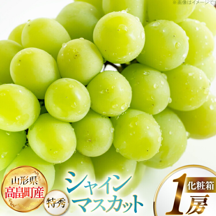 【ふるさと納税】 【期間限定発送】 シャインマスカット 特秀 1房 化粧箱入り [JA山形おきたま 山形県 高畠町 tk06ays870029] フルーツ 果物 くだもの ぶどう ブドウ 葡萄 甘い