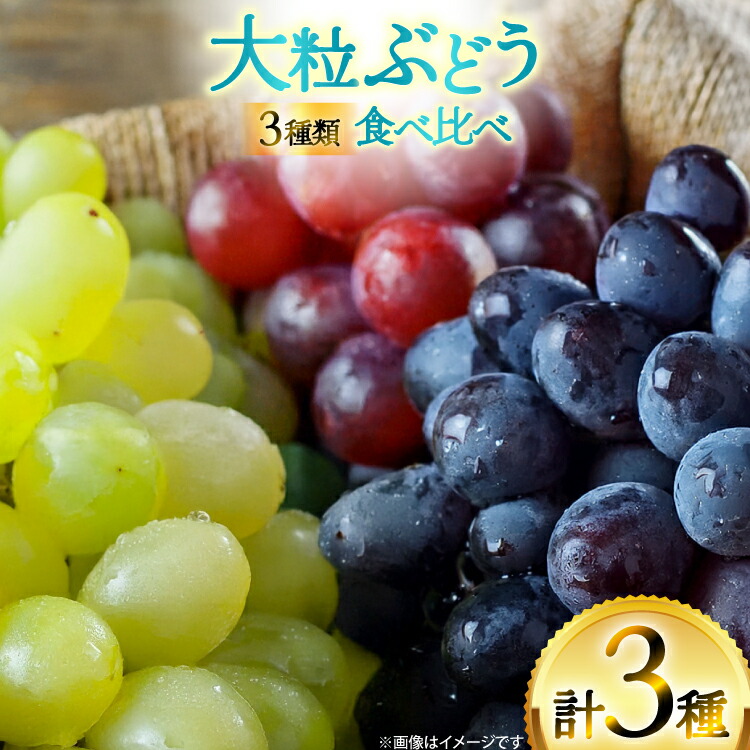 -75%(✨美品)クイーン\"セット\" OSMIC FIRST 24.08.30終了（限定200個） OSMIC FIRST GRAND QUEEN