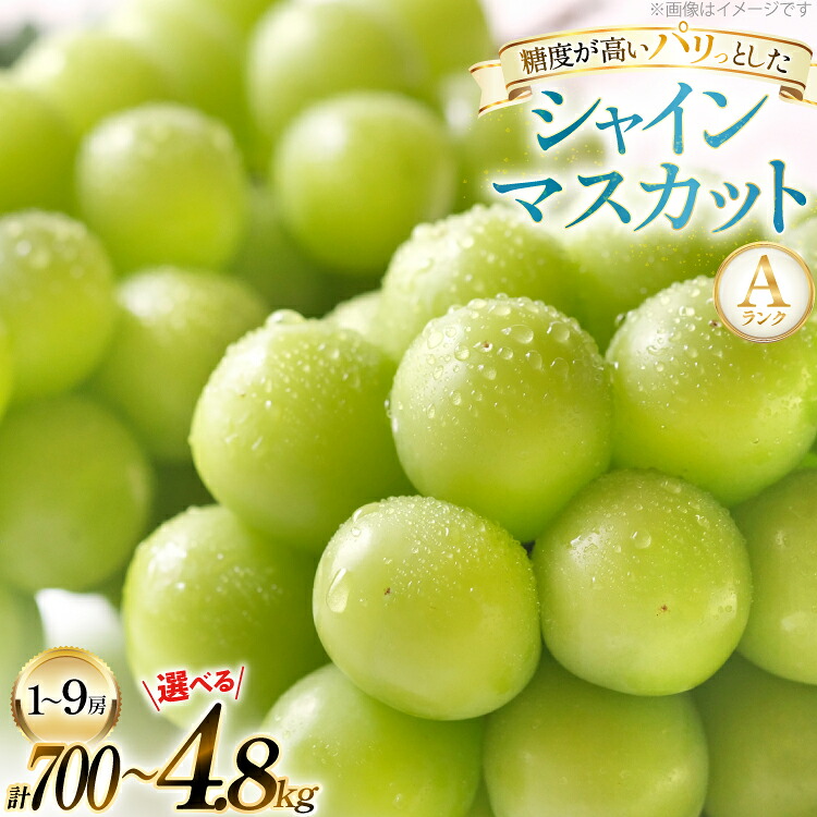 【ふるさと納税】 【期間限定発送】山形県産 シャインマスカット Aランク 700g 1.6kg 3.2kg 4.8kg [tk06ayt230003 山形県 高畠町 田制農園] ぶどう ブドウ 葡萄 シャイン マスカット フルーツ 果物 くだもの 産地直送 農家直送 1房 2房 12,600円