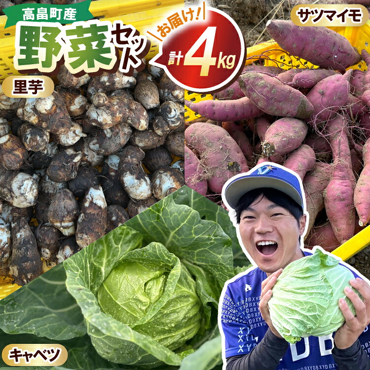 【ふるさと納税】 【期間限定発送】 3種 野菜 ( キャベツ さつまいも 里芋 ) 計約4kg セット [農家の店しゃんくすろーど 山形県 高畠町 tk06bcz250000] やさい 詰め合わせ サツマイモ 芋 さといも 食べ比べ