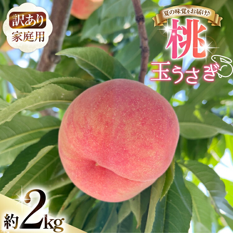 【ふるさと納税】 【期間限定発送】 訳あり 家庭用 桃 玉うさぎ 2kg [東城農園 山形県 高畠町 tk06ayt370004] もも モモ 果物 くだもの フルーツ 冷蔵｜山形県高畠町