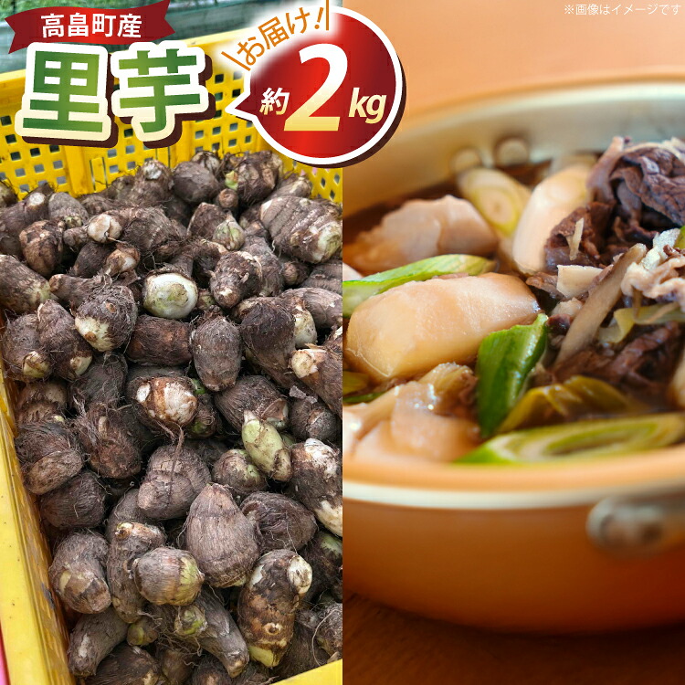 【ふるさと納税】 【期間限定発送】 里芋 約 2kg (15～20個) 土付き [農家の店しゃんくすろーど 山形県 高畠町 tk06bcz250001] さといも 里いも 芋 野菜 やさい 芋煮 煮物 おかず 惣菜
