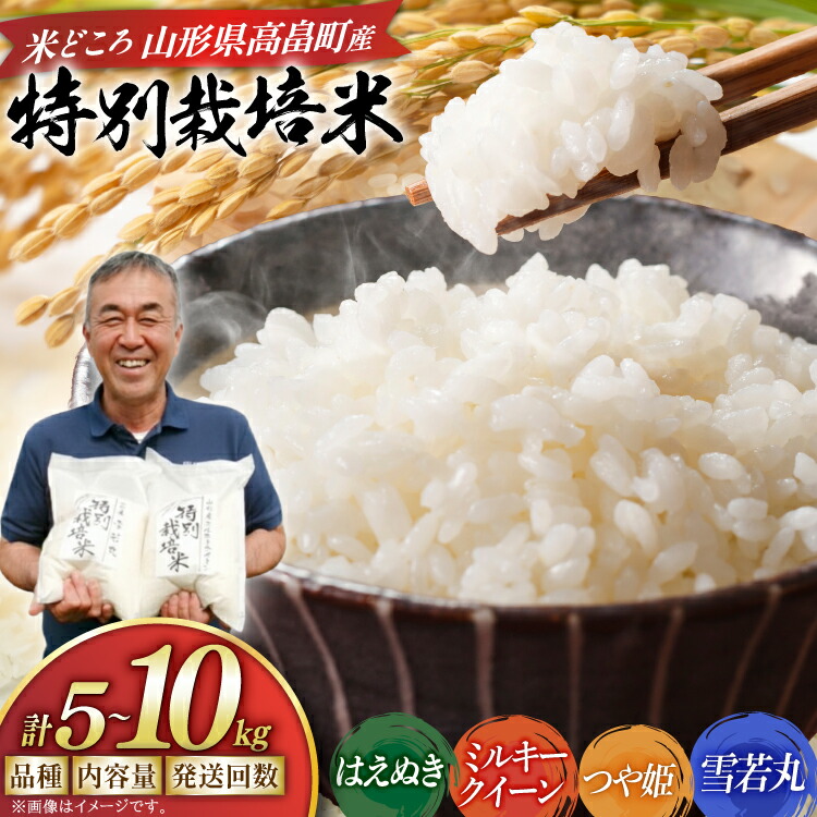 【ふるさと納税】 米 令和8年産 選べる定期便・収穫年・品種・内容量 5kg 10kg 3回 6回 9回 はえぬき つや姫 ミルキークイーン 雪若丸 定期 お米 こめ 白米 精米 ごはん 5キロ 10キロ [渡部ファーム 山形県 高畠町 tk06ays810045]｜山形県高畠町