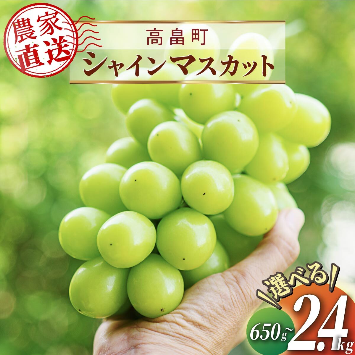 【楽天市場】【ふるさと納税】【総合ランキング 上位入賞】シャインマスカット マスカット 650g 1房 1.5kg 2~3房 3kg 4~6房 |  ふるさと納税 ぶどう シャイン マスカット 高級 葡萄 果物 フルーツ 農家直送 箱詰 山形県 高畠町 人気 ランキング 送料無料 F21B ...