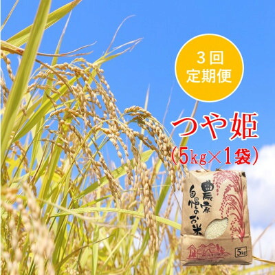 【ふるさと納税】【発送月固定定期便】つや姫 精米 5kg　佐藤全3回【4089323】｜山形県小国町