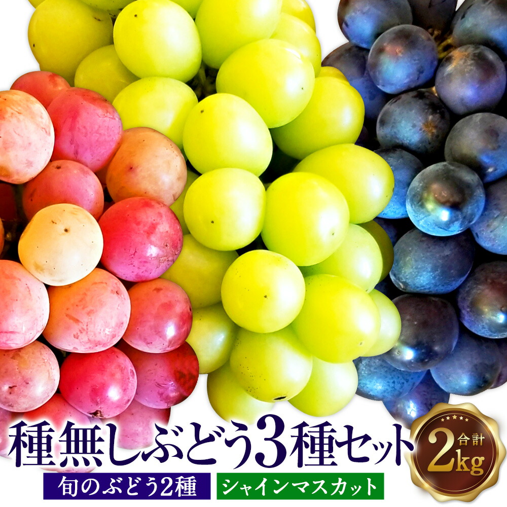 【ふるさと納税】【配送地域限定】大粒！たっぷり日光を浴びたみずみずしい種無しぶどう3種セット （シャインマスカット＋旬なぶどう） 2kg 山形県産 【2025年9月下旬～10月上旬発送予定】