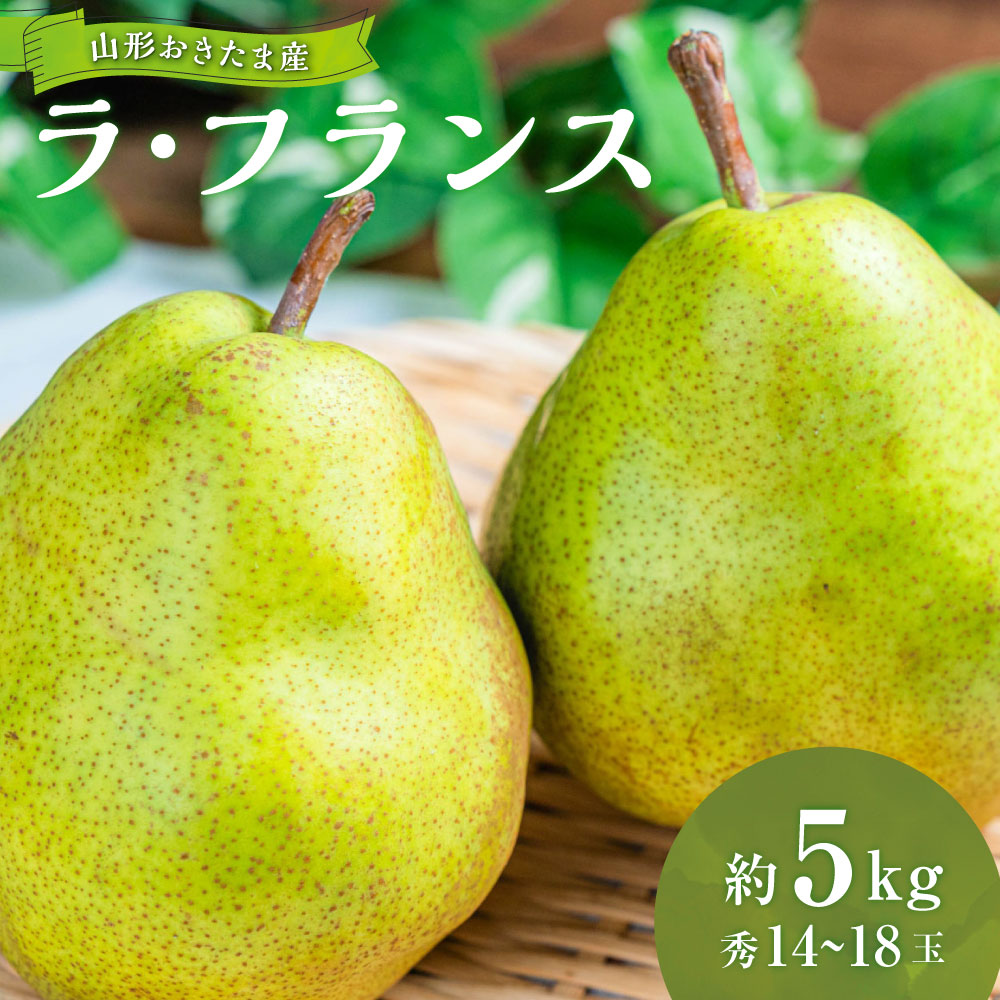 【ふるさと納税】山形おきたま産 ラ・フランス 秀 14～18玉 （約5kg）【2025年11月上旬～12月上旬発送予定】ラフランス 洋梨 洋ナシ 洋なし 梨 ナシ なし フルーツ スイーツ 果物 くだもの 果実 山形県 山形 やまがた 白鷹町 白鷹 常温 送料無料