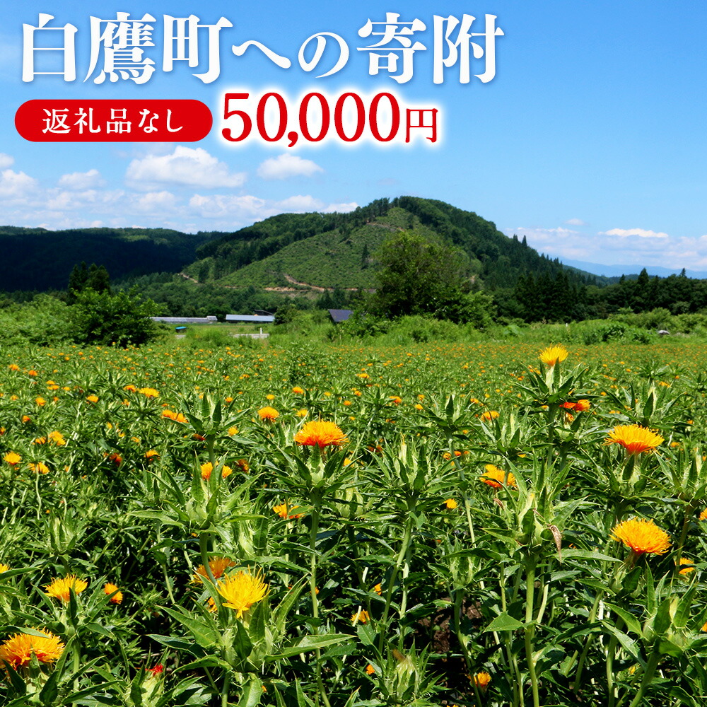【ふるさと納税】 白鷹町への寄附（返礼品はありません） 50,000円 山形県 白鷹町 返礼品なし