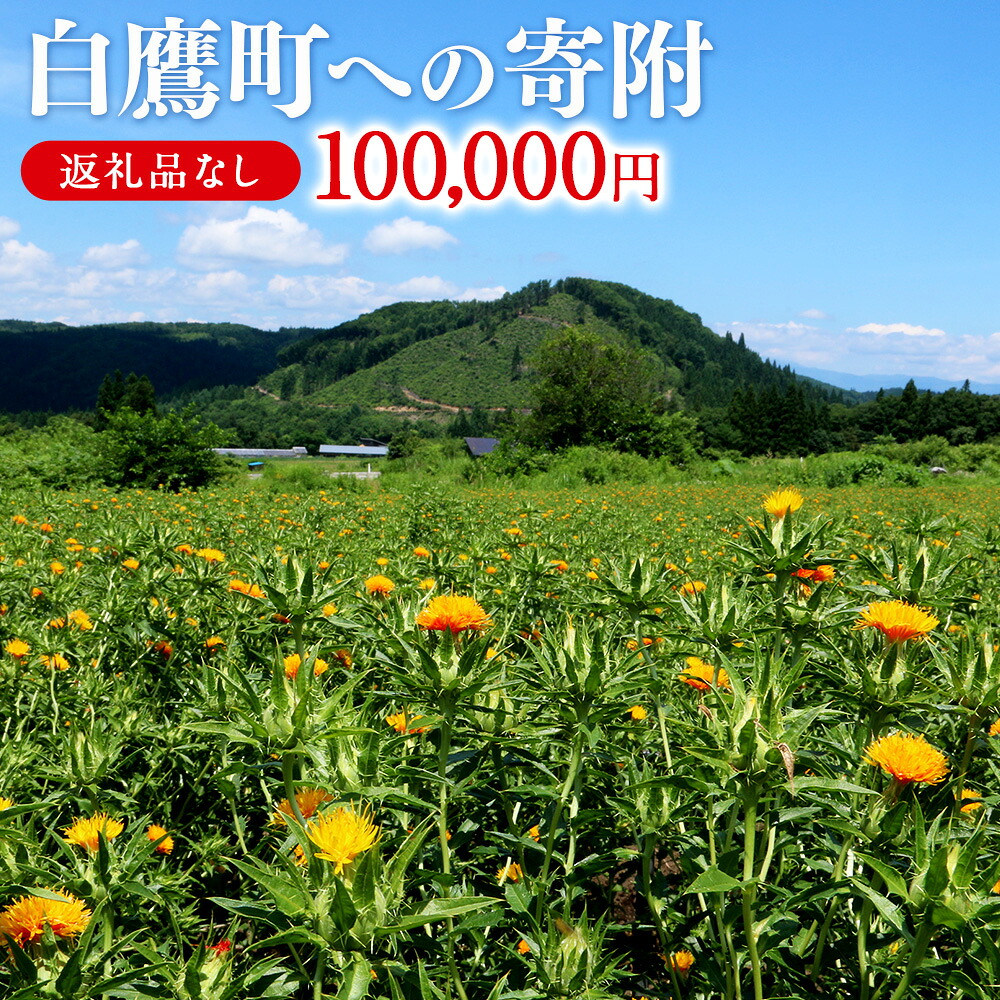 【ふるさと納税】 白鷹町への寄附（返礼品はありません） 100,000円 山形県 白鷹町 返礼品なし