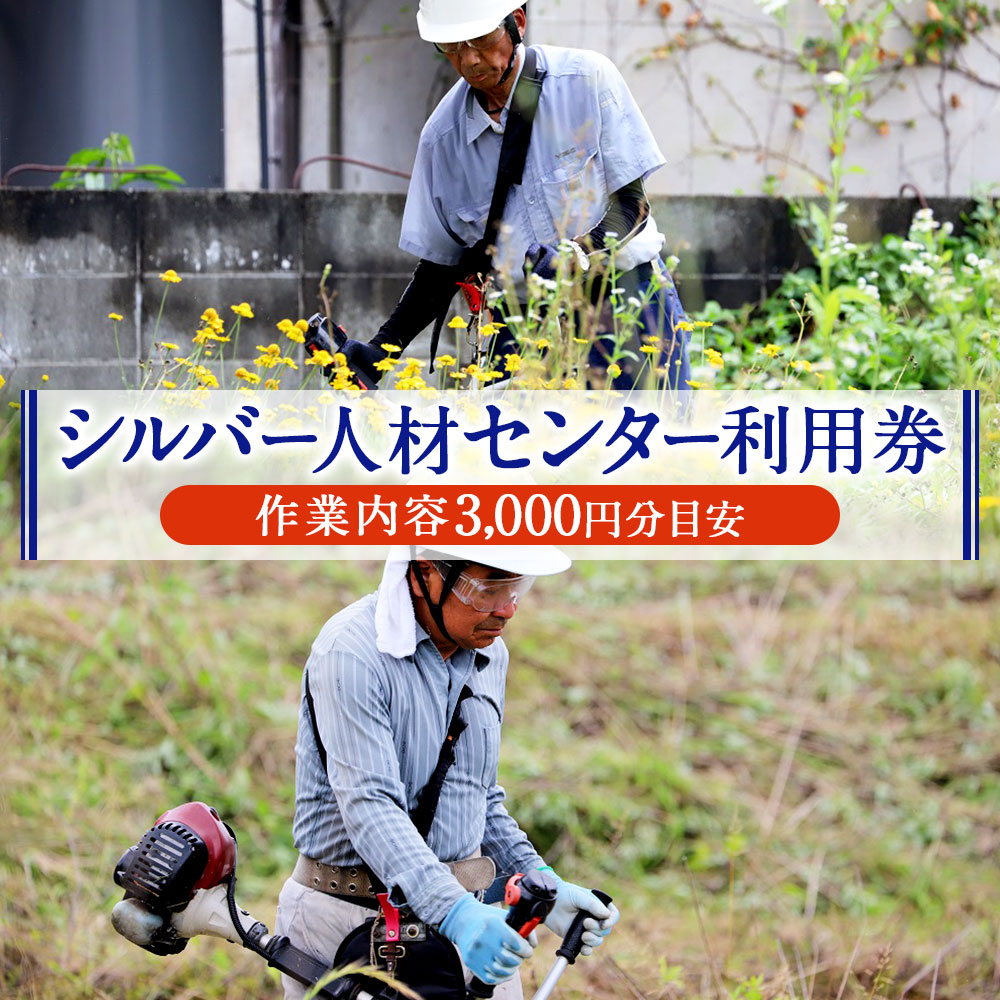 【ふるさと納税】 シルバー人材センター利用券(作業内容3,000円分目安) 草刈り 除草 除雪 掃除 サービス 清掃 利用券 送料無料