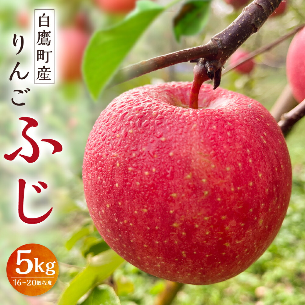 【ふるさと納税】 白鷹町産りんご (ふじ) 5kg りんご 林檎 果物 くだもの フルーツ 旬 ふじ 国産 山形県 白鷹町 送料無料 【2026年11月下旬-12月上旬発送予定】