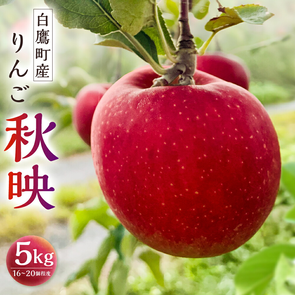 【ふるさと納税】 白鷹町産りんご (秋映) 5kg りんご 林檎 果物 くだもの フルーツ 旬 秋映 国産 山形県 白鷹町 送料無料 【2026年9月下旬-10月上旬発送予定】