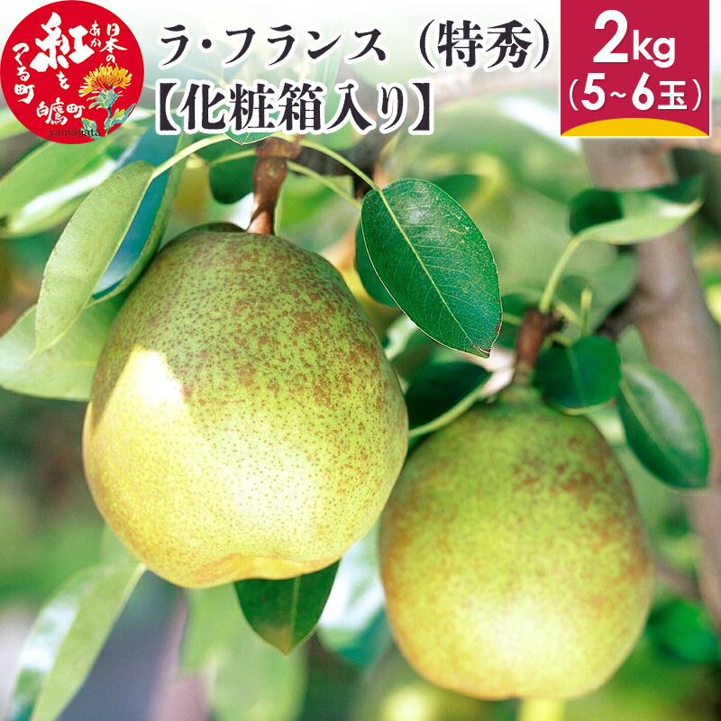 【ふるさと納税】ラ・フランス （特秀) 2kg【化粧箱入り】 山形県産 フルーツ 果物 【2025年11月上旬～12月上旬発送予定】