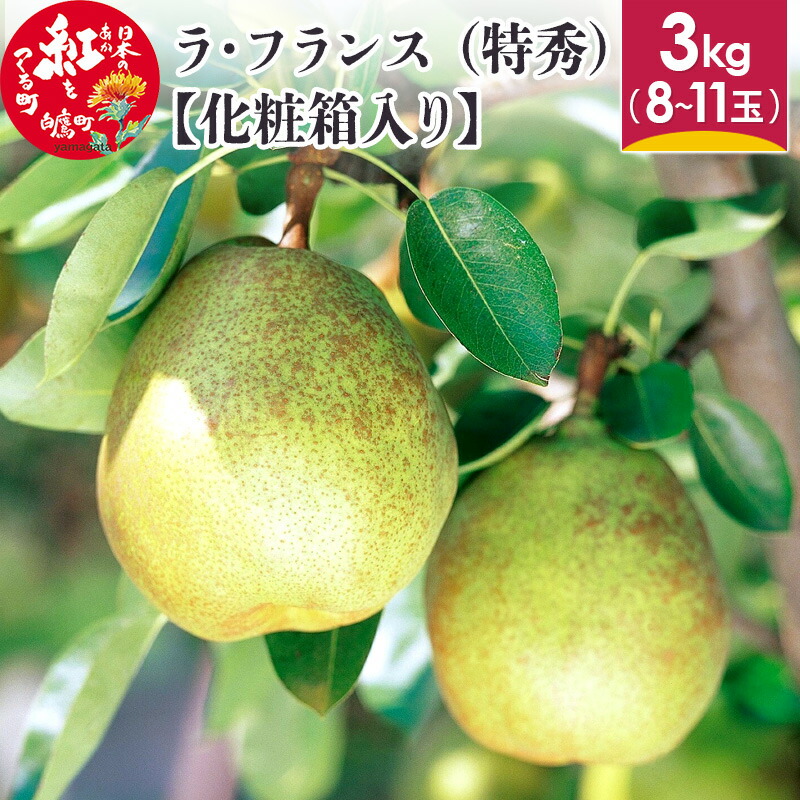【ふるさと納税】ラ・フランス (特秀) 3kg【化粧箱入り】 山形県産 フルーツ 果物 【2025年11月上旬～12月上旬発送予定】