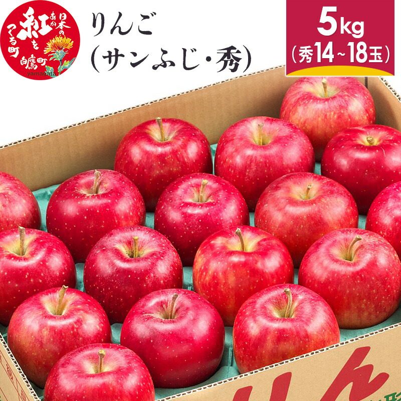 【ふるさと納税】りんご (サンふじ・秀) 5kg 山形県産 フルーツ 果物 【2025年11月下旬～12月上旬発送予定】