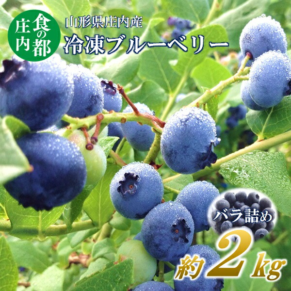 【ふるさと納税】食の都庄内【令和7年産】庄内産冷凍ブルーベリー（バラ詰め約2kg）※令和7年8月頃より順次配送予定（庄内たがわ農業協同組合）