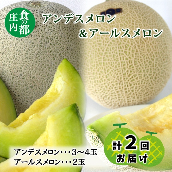 【ふるさと納税】【令和8年産】食の都庄内 ジューシー！メロン2回定期便※2026年7月上旬頃より発送開始予定（庄内たがわ農業協同組合） 24,140円