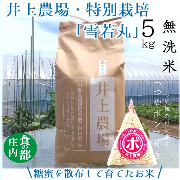 【ふるさと納税】食の都庄内　井上農場の【無洗米（精米）】特別栽培米雪若丸5kg　つやポン付（産直出前便）｜山形県三川町 16,280円
