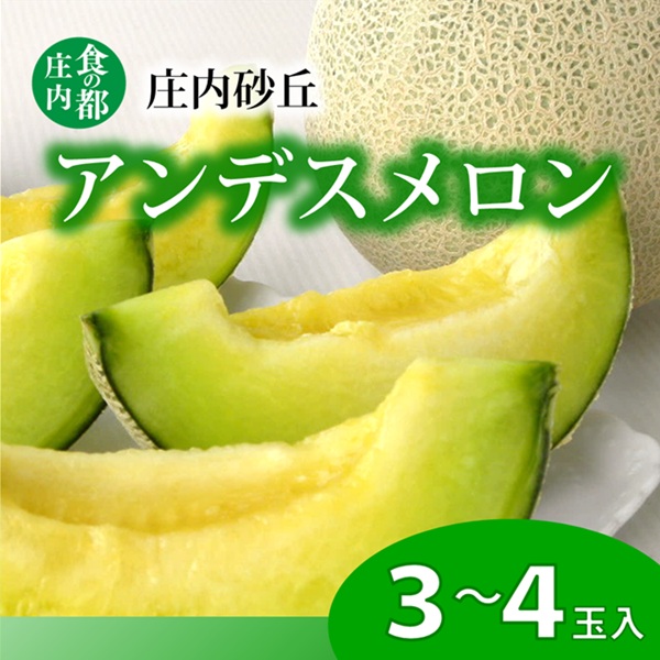 【ふるさと納税】【令和8年産】食の都庄内　プロの技！庄内砂丘アンデスメロン　※2026年7月上旬頃より発送開始予定（産直みかわ事業協同組合）