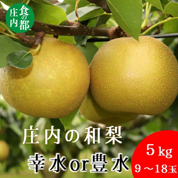 【ふるさと納税】食の都庄内　庄内の和梨【幸水or豊水】約5kg※8月下旬ごろより順次配送（有限会社庄内旬青果）