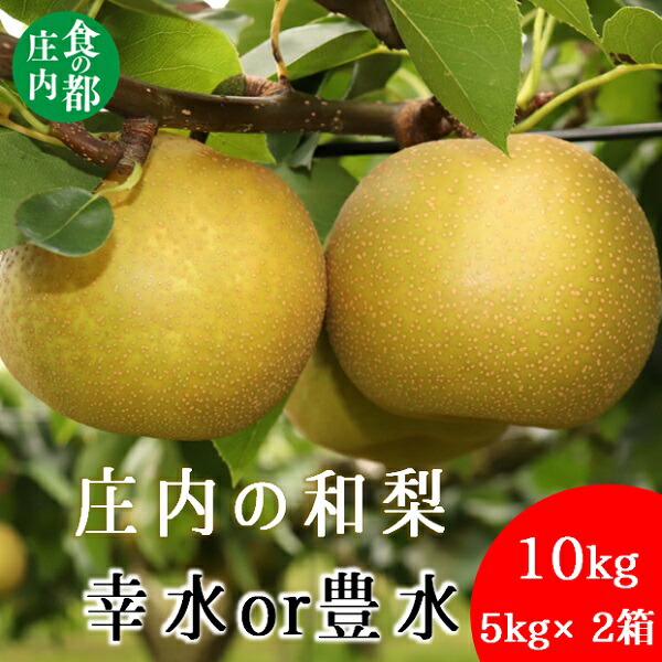 【ふるさと納税】食の都庄内　庄内の和梨【幸水or豊水】約10kg※8月下旬ごろより順次配送（有限会社庄内旬青果）