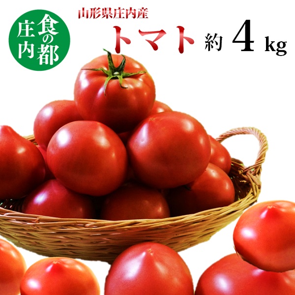 【ふるさと納税】食の都庄内　庄内産とまと約4kg　※6月上旬頃～配送予定（マルショウ青果有限会社）