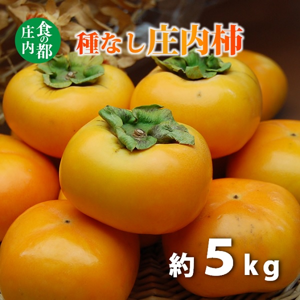 【ふるさと納税】食の都庄内　種なし庄内柿約5kg　※令和8年10月下旬頃より順次配送　（マルショウ青果）｜山形県三川町