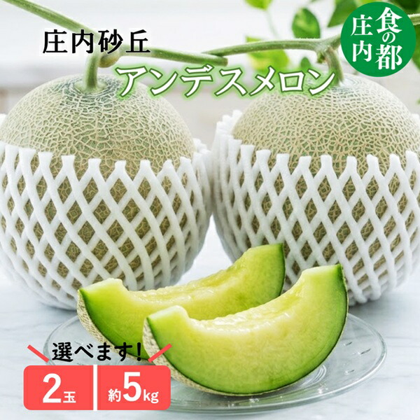 【ふるさと納税】選べる内容量(2玉・約5kg)食の都庄内 【令和8年産】庄内のアンデスメロン ※令和8年7月上旬~8月上旬配送(株式会社 三枡屋)|山形県三川町