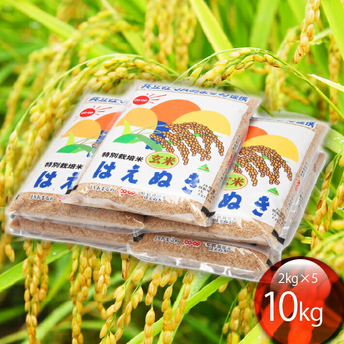 【ふるさと納税】特別栽培米玄米はえぬき 10kg 2kg×5袋 令和6年産 2024年産 ブランド米 玄米 ふるさと納税 山形 庄内 コシヒカリの原点、亀の尾発祥の地