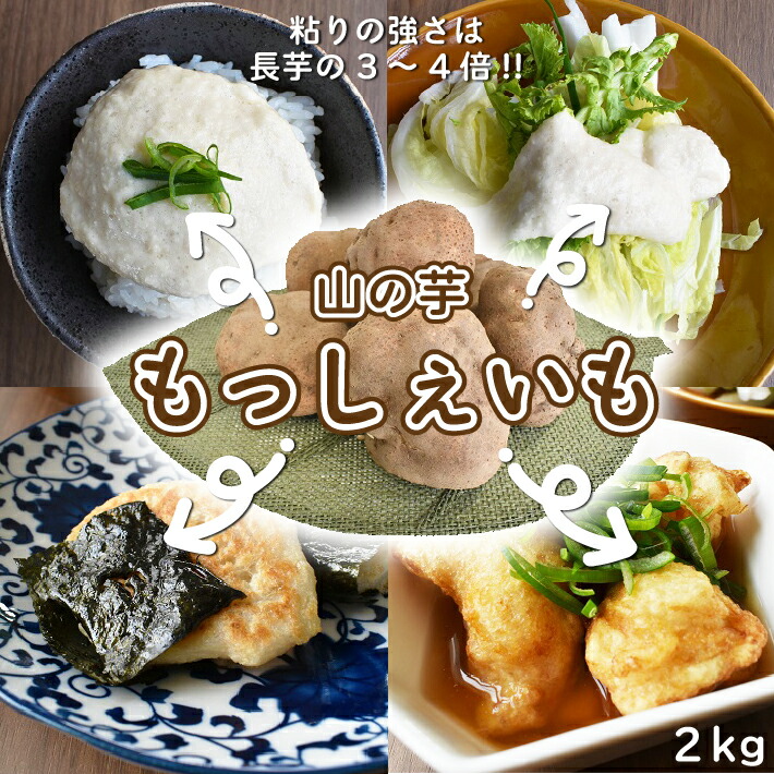 立谷沢産 もっしぇいも 山の芋２kg 山芋 2022年11月から順次発送 入金期限 夏セール開催中