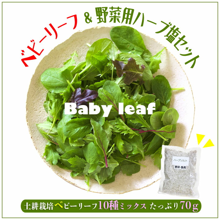 【ふるさと納税】 土耕栽培のベビーリーフミックス 10種(70g×4袋) と野菜用ハーブ塩セット ふるさと納税 山形県