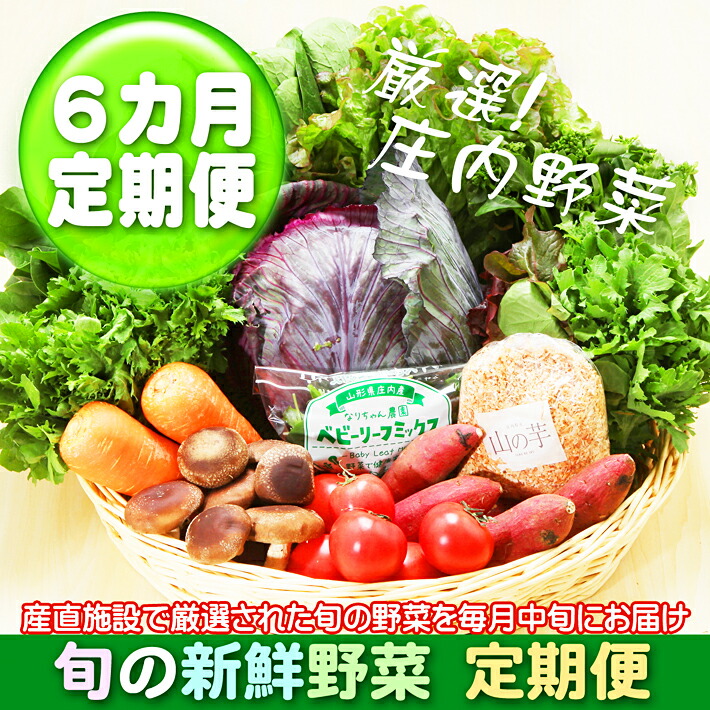 【ふるさと納税】＜7月中旬発送＞新鮮野菜 6か月定期便！産直施設「あっでば」直送（入金期限：2025.6.25） ふるさと納税 山形 定期便