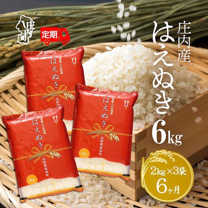 【ふるさと納税】＜6月中旬発送＞庄内米6か月定期便！はえぬき 6kg（入金期限：2025.5.25）精米 ふるさと納税 米 定期便 山形県
