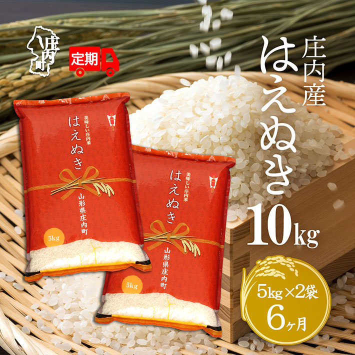 【ふるさと納税】＜6月中旬発送＞庄内米6か月定期便！はえぬき 10kg（入金期限：2025.5.25） 5kg×2袋 毎月中旬 ふるさと納税 米 定期便 山形県