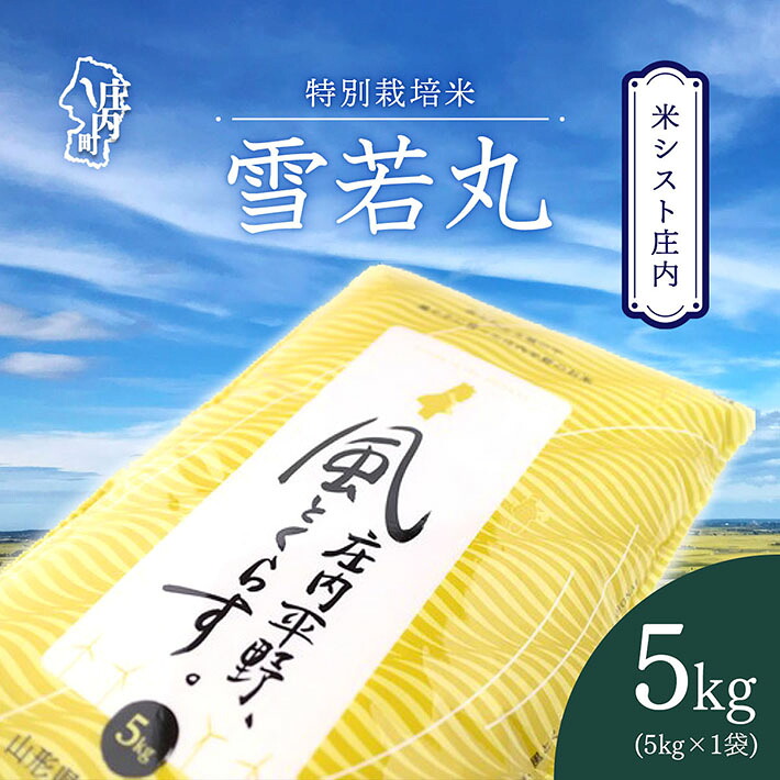 【ふるさと納税】米シスト庄内 庄内平野、風と暮らす 雪若丸 5kg 特別栽培米 令和7年産 2025年産 ブランド米 コシヒカリの原点、亀の尾発祥の地 庄内 ふるさと納税 米 山形県|山形県庄内町