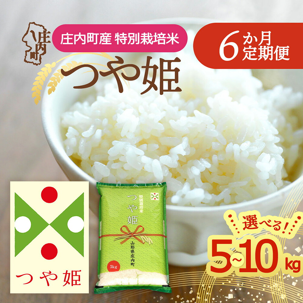 【ふるさと納税】＜毎月下旬発送＞庄内米6か月定期便！つや姫 選べる配送開始月 内容量 5kg / 6kg / 10kg ブランド米 2025年産 ふるさと納税 米 定期便 定期 山形県 62,700円