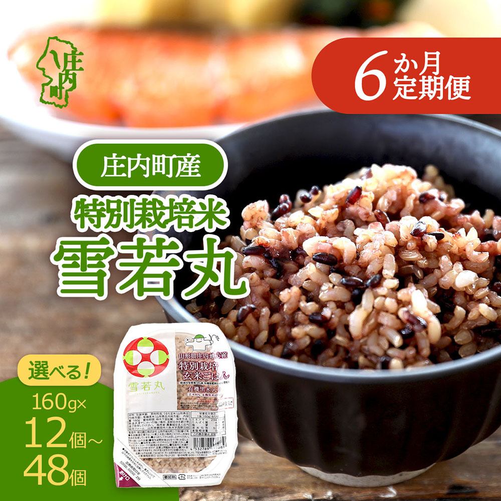 【ふるさと納税】【定期便】雪若丸 玄米 パックごはん 160g&times;12～48個&times;6ヶ月 毎月お届け 有機黒米入り 山形県庄内町産 保存食 非常食 備蓄 防災 レンジで2分 レンチン 時短 簡単調理 ローリングストック｜山形県庄内町