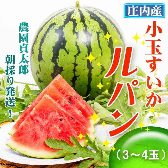 【ふるさと納税】【7月下旬より順次発送】農園貞太郎 小玉スイカ ルパン 3～4玉（入金期限：2025.7.20） ふるさと納税 山形