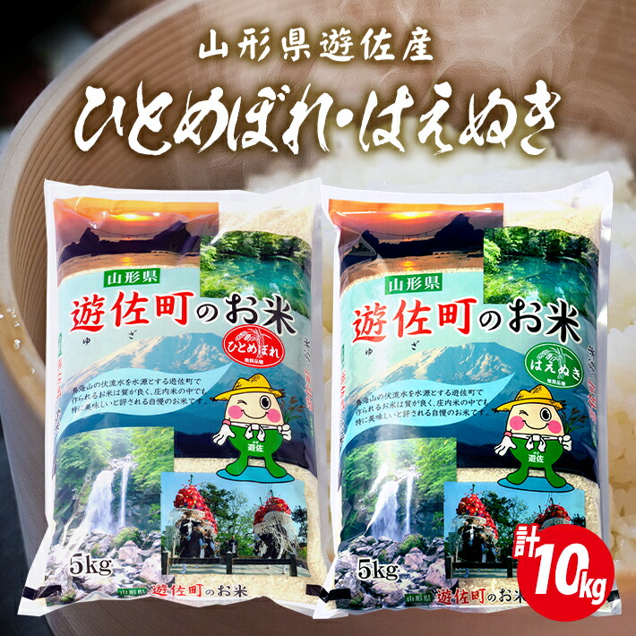 ふるさと納税 ひとめぼれ はえぬき サム10kg めいめい5kg 司令合同3年創作穀 円錐小体県遊佐産 丑寅 遊佐村巷 庄内領域 庄内平野 米 お米 精米 飯 庄内米 ごはん 糧米 セット 2バッグセット 詰合せ 食べレイス おつ比べ M Haitiopen Com