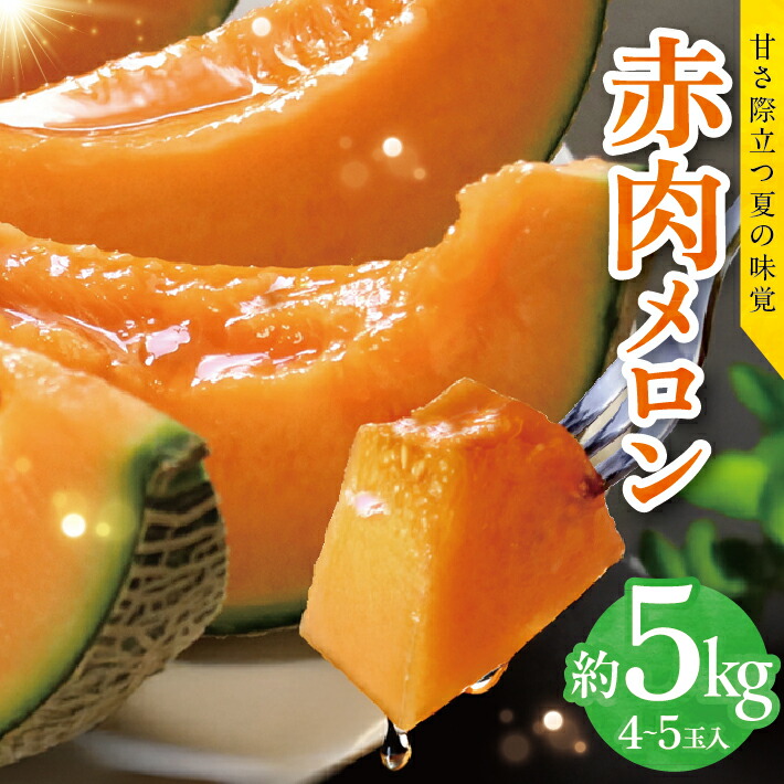 【ふるさと納税】赤肉メロン 約5kg 4～5玉入 山形県遊佐町産 6月下旬～7月中旬頃お届け ※着日指定不可 果物 フルーツ メロン 赤肉 夏 東北 山形県 遊佐町 庄内 庄内砂丘 JA