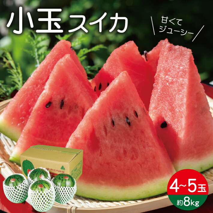 【ふるさと納税】小玉スイカ 約8kg 4～5玉入 山形県遊佐町産 7月上旬～7月下旬頃お届け ※着日指定不可 果物 フルーツ スイカ すいか 西瓜 小玉すいか 小玉 夏 東北 山形県 遊佐町 庄内 庄内砂丘 JA
