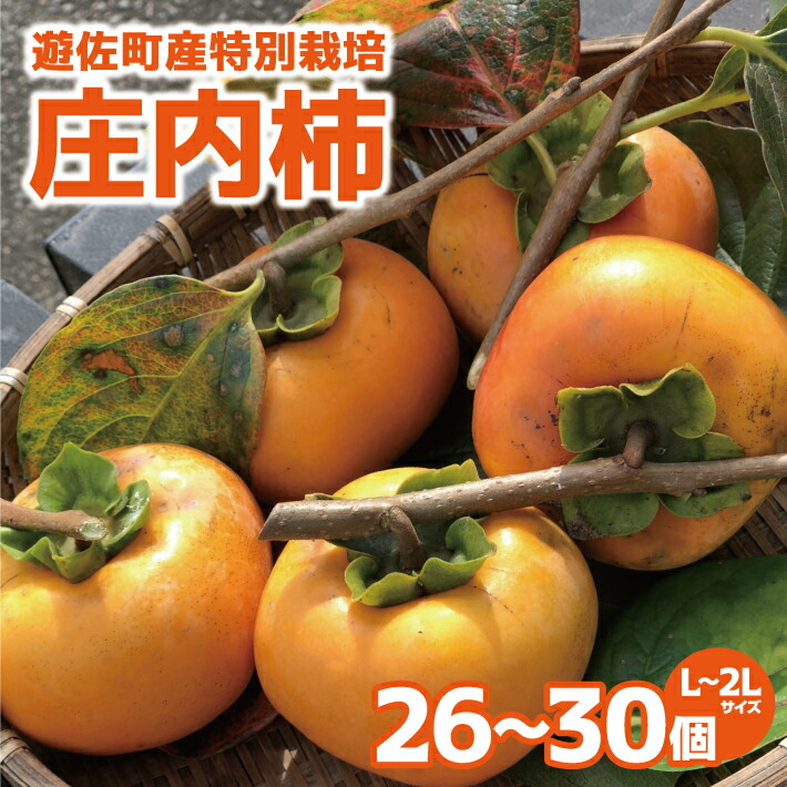 【ふるさと納税】特別栽培庄内柿 5kg L～2Lサイズ 26～30個入り 山形県遊佐町産 11月上旬～11月下旬頃お届け ※着日指定不可 東北 山形県 遊佐町 庄内地方 種無し柿 カキ かき 種無し