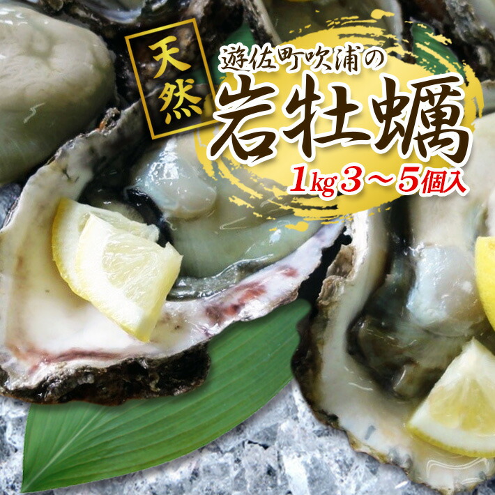 【ふるさと納税】天然岩牡蠣 約1kg 3～5個入 殻付き 山形県遊佐町吹浦産 6月上旬～8月下旬頃お届け 冷蔵便 ※着日指定・離島（沖縄県を含む）発送不可 カキ かき 岩かき お取り寄せ 日本海 東北 庄内 鮮魚 新鮮