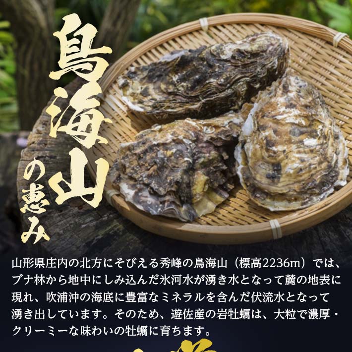 ふるさと納税 天然岩牡蠣 約2kg かき 東北 離島 山形県遊佐町吹浦産 6月上旬 8月下旬頃お届け 殻付き 岩かき 庄内 日本海 新鮮 沖縄県を含む 着日指定 カキ 発送不可 鮮魚 お取り寄せ 9 11個入 冷蔵便