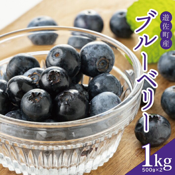 【ふるさと納税】大粒ブルーベリー 500g×2パック 計1kg 化粧箱入 7月中旬～8月上旬頃お届け 山形県遊佐産 冷蔵便 ※着日指定・離島発送不可 果物 くだもの フルーツ ブルーベリー 国産 東北 山形県 遊佐町 庄内