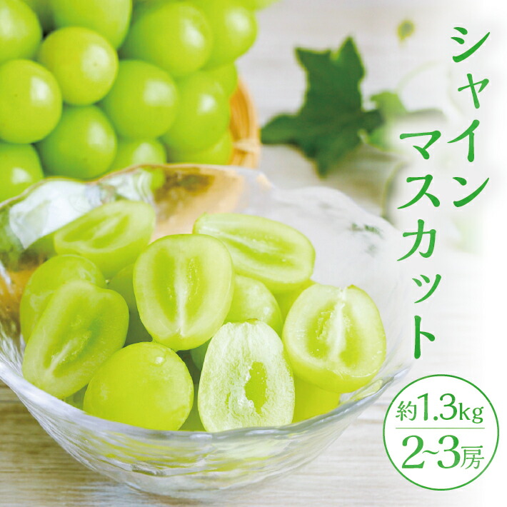 【ふるさと納税】シャインマスカット 2～3房 約1.3kg 10月上旬～11月中旬頃お届け 山形県遊佐町産 冷蔵便 ※離島発送・着日指定不可 種無し 葡萄 ぶどう 果物 フルーツ 期間限定 農家直送 産地直送 山形県 遊佐町 庄内 秋