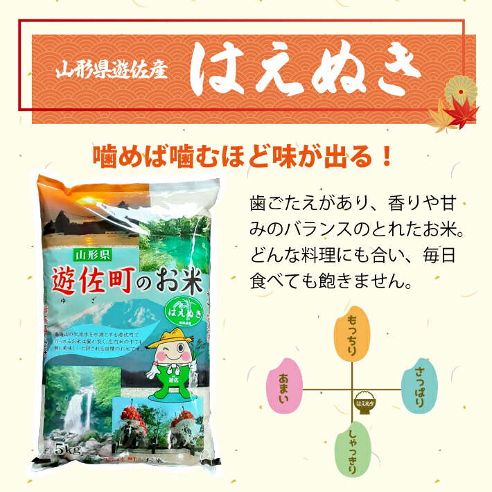 はえぬき説明1
