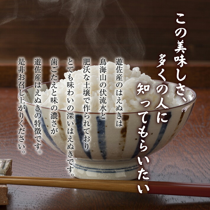 はえぬき説明2